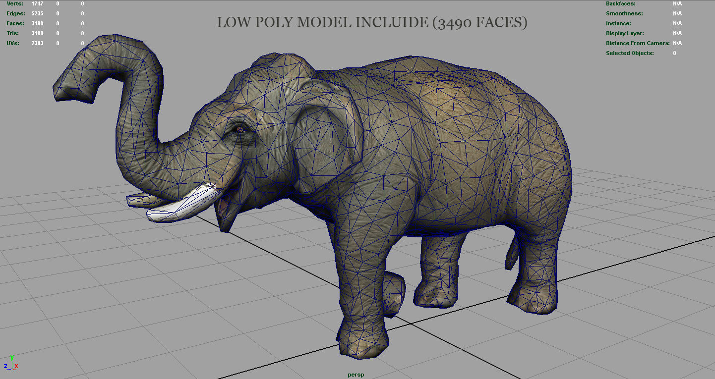 Asian Elephant 2 Low-poly 3D model_14
