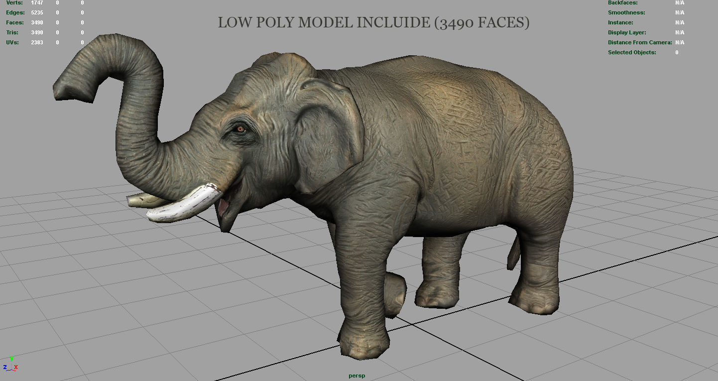 Asian Elephant 2 Low-poly 3D model_13