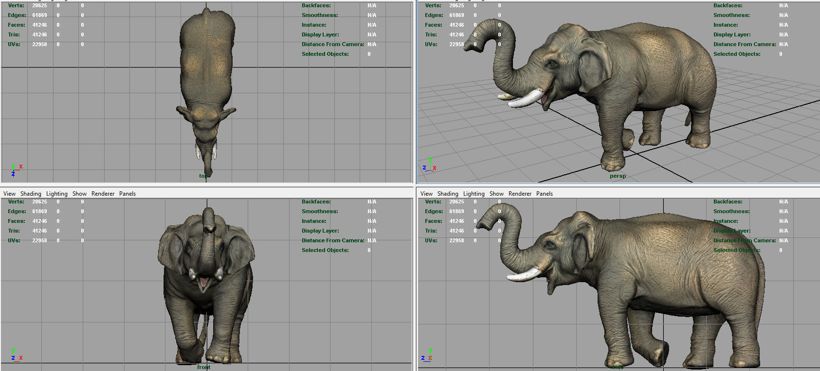 Asian Elephant 2 Low-poly 3D model_7