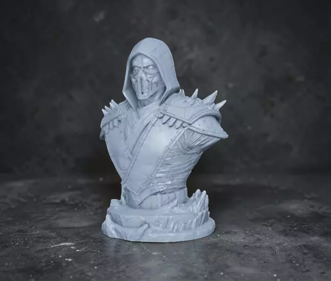 Sub Zero Head Bust 3D print model