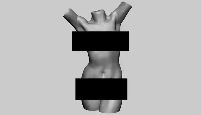 Female Torso 01 3D model