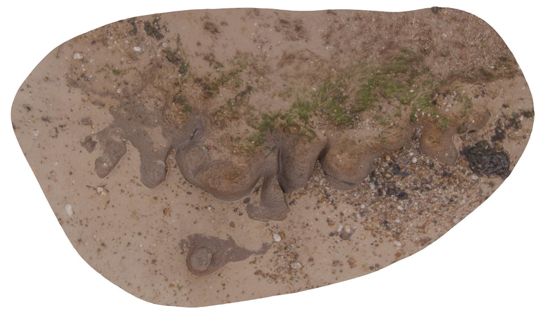 Beach Mud Ripple - High and Low Poly versions Low-poly 3D model_4