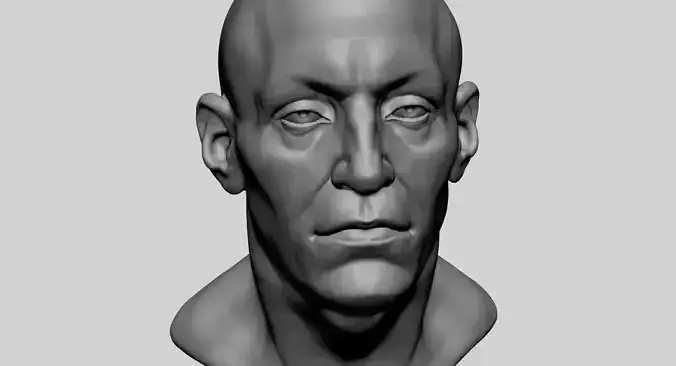 Male Head Base Anatomy