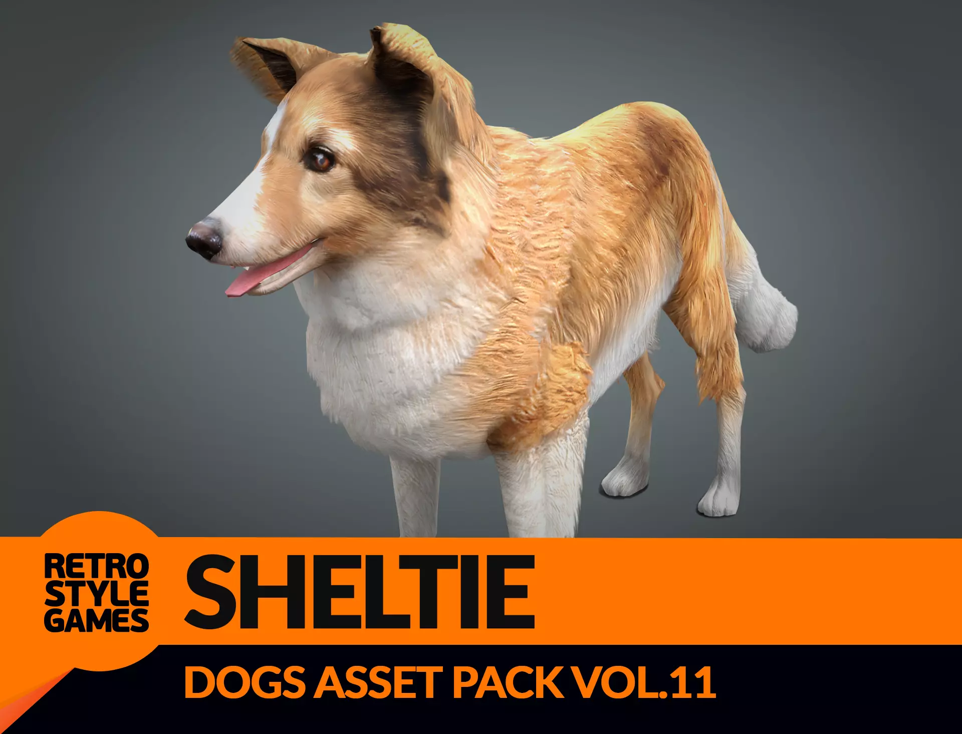 Sheltie 3D Model Low-poly 3D model