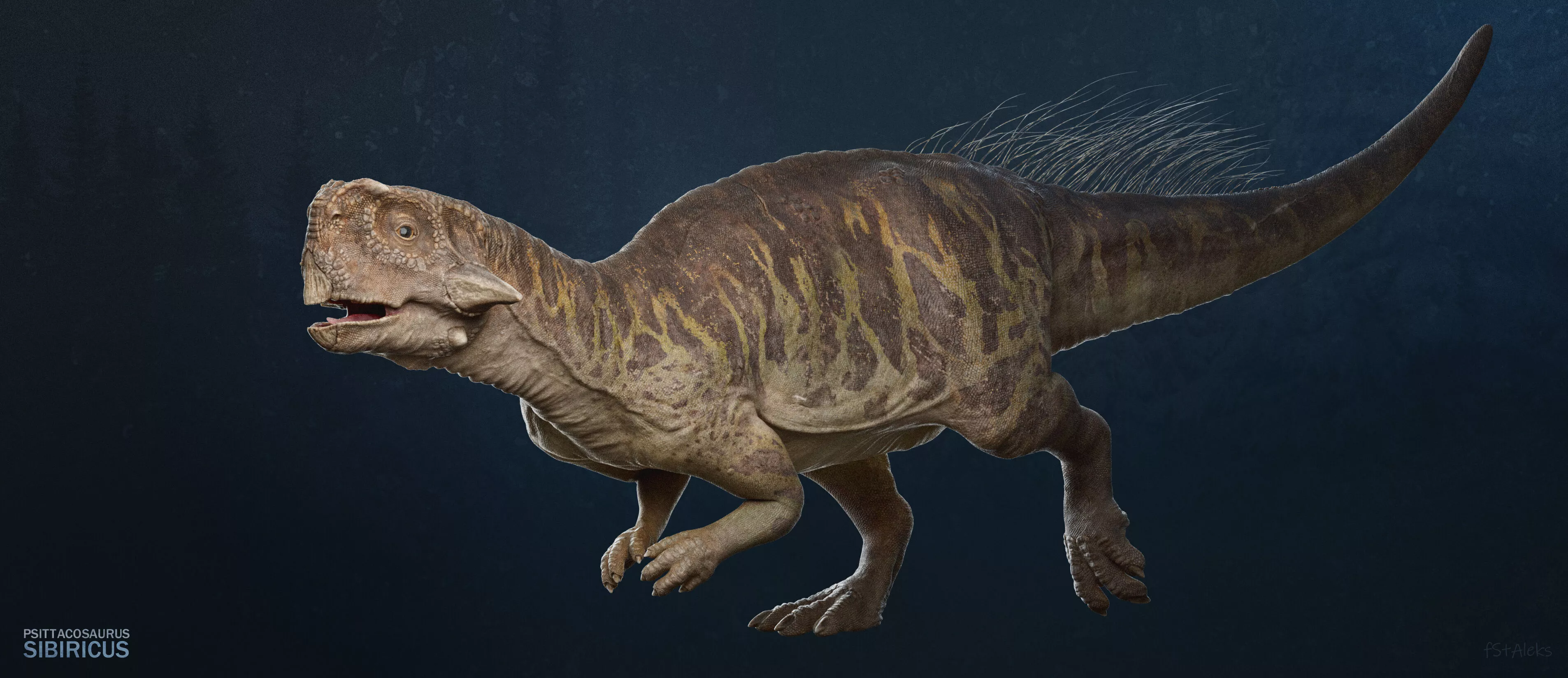Dinosaurus Psittacosaurus Reconstruction 3D model