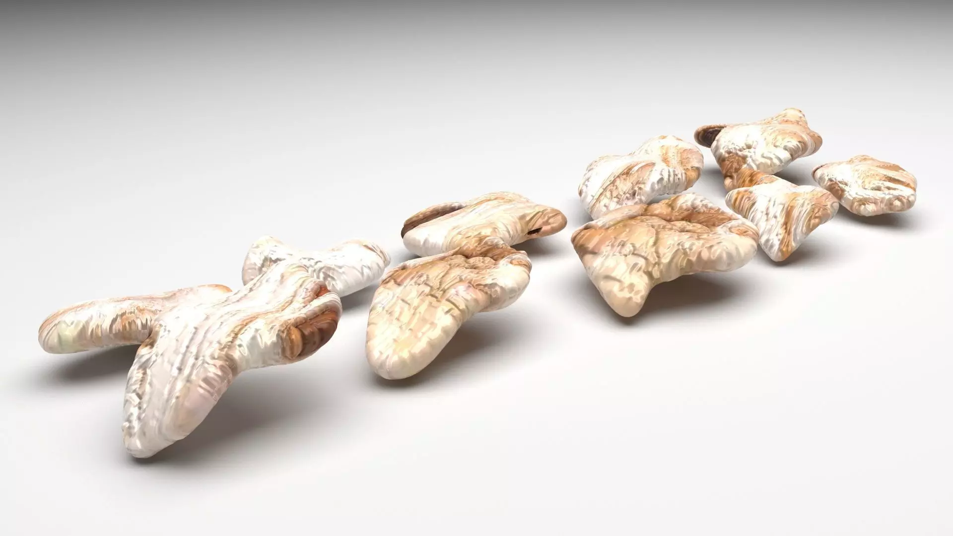 Shredded Chickens Set 3D model