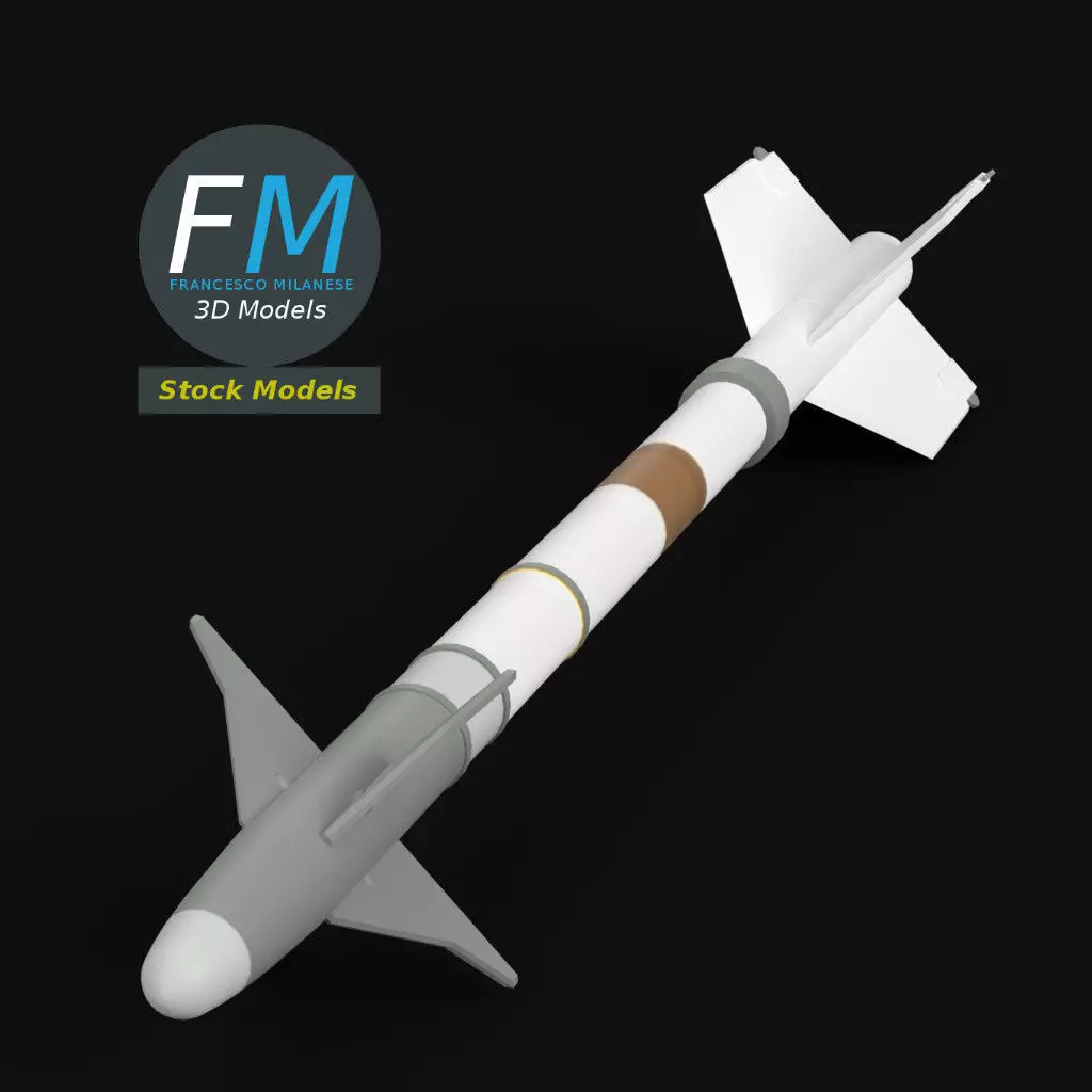 AIM-9M Sidewinder missile 3D model_0