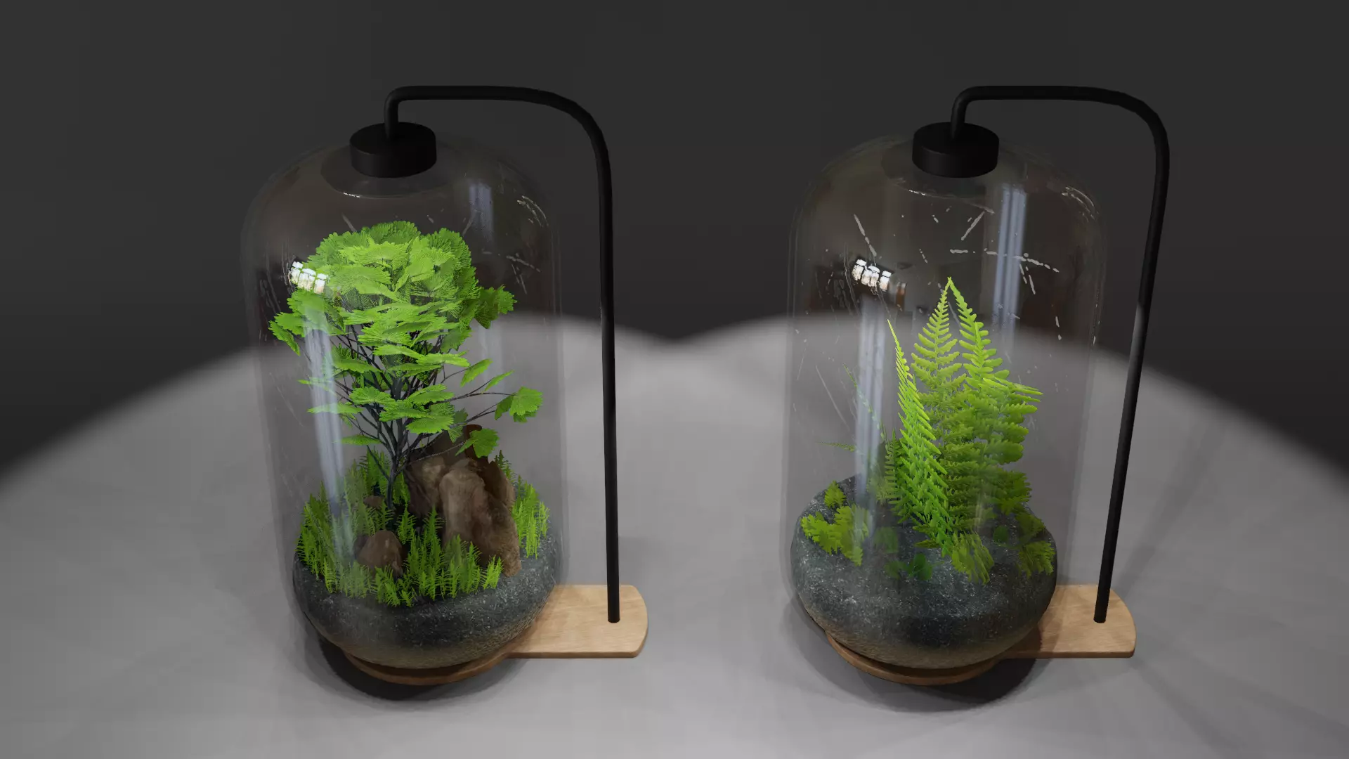 Terrarium 3D model