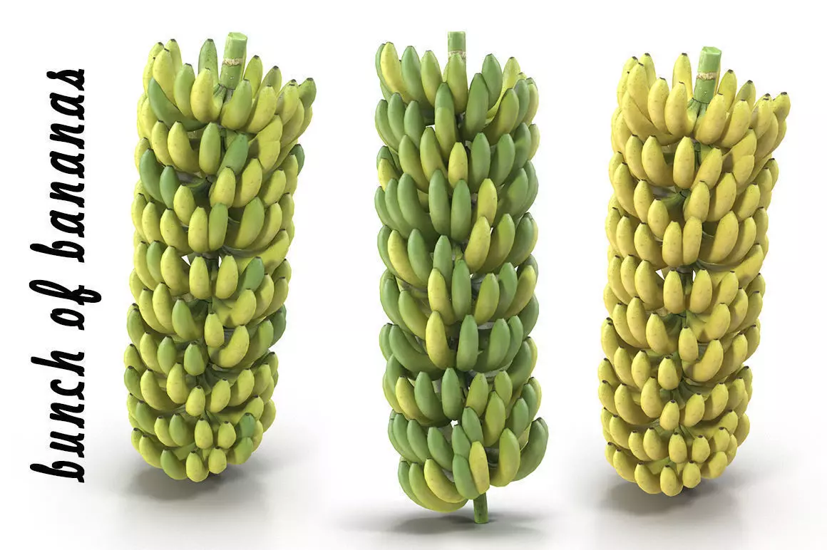 Bunch of bananas 3D model_0