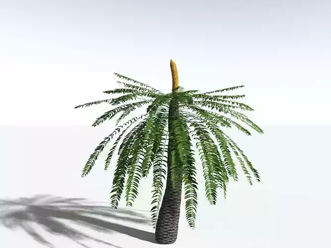 EVERYPlant Pseudoctenis Eathiensis LowPoly