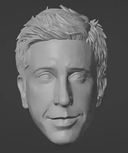 Ross Geller Head - Friends - David Schwimmer