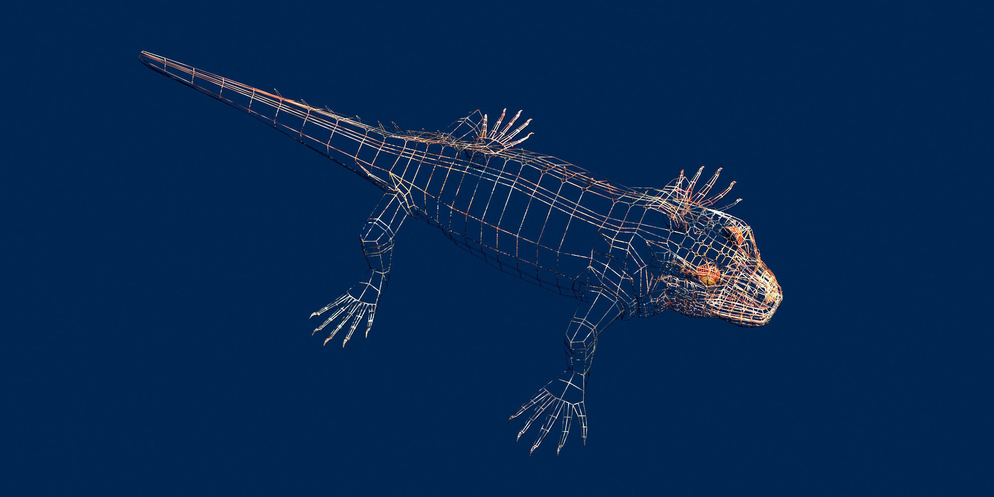 Marine iguana model Low-poly 3D model_8