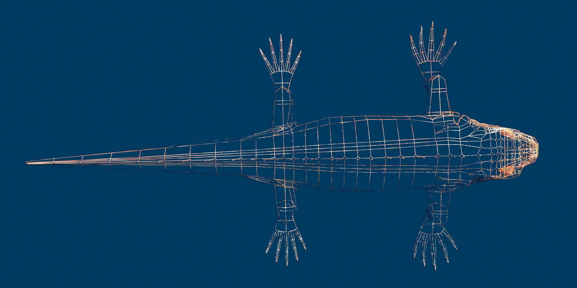 Marine iguana model Low-poly 3D model_6