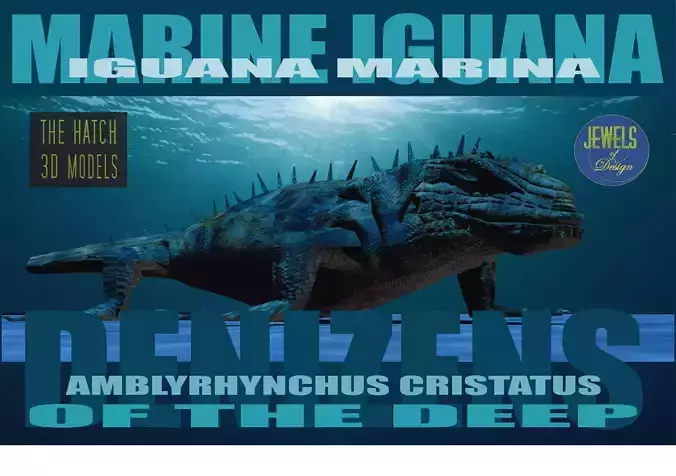 Marine iguana model Low-poly 3D model