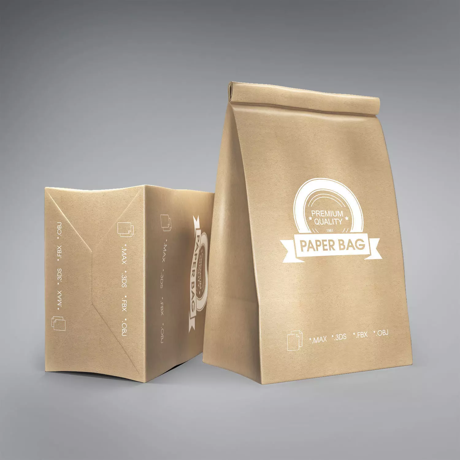 Paper bag 3D model_0