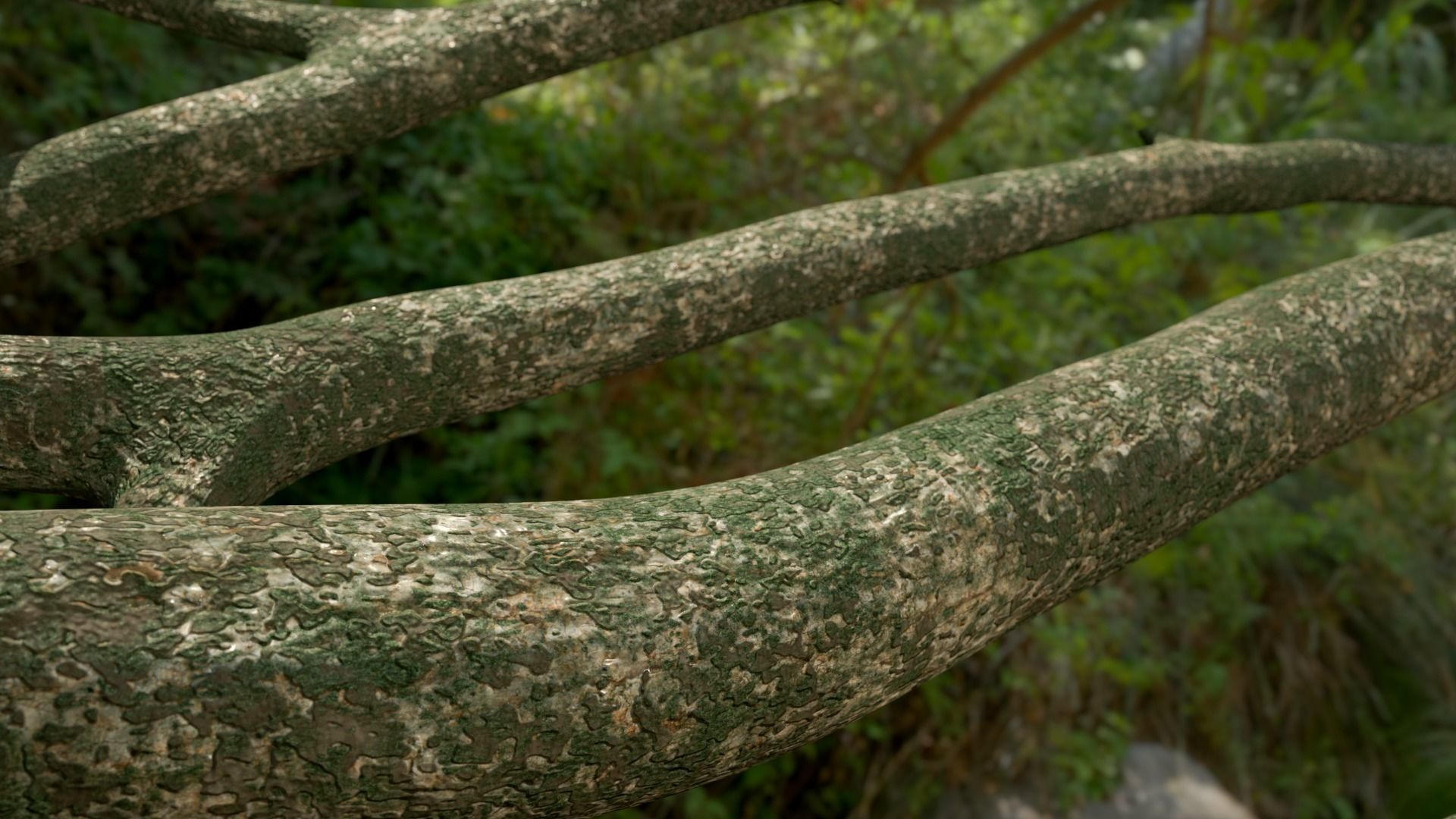 Jungle Logs Collection Low-poly 3D model_1