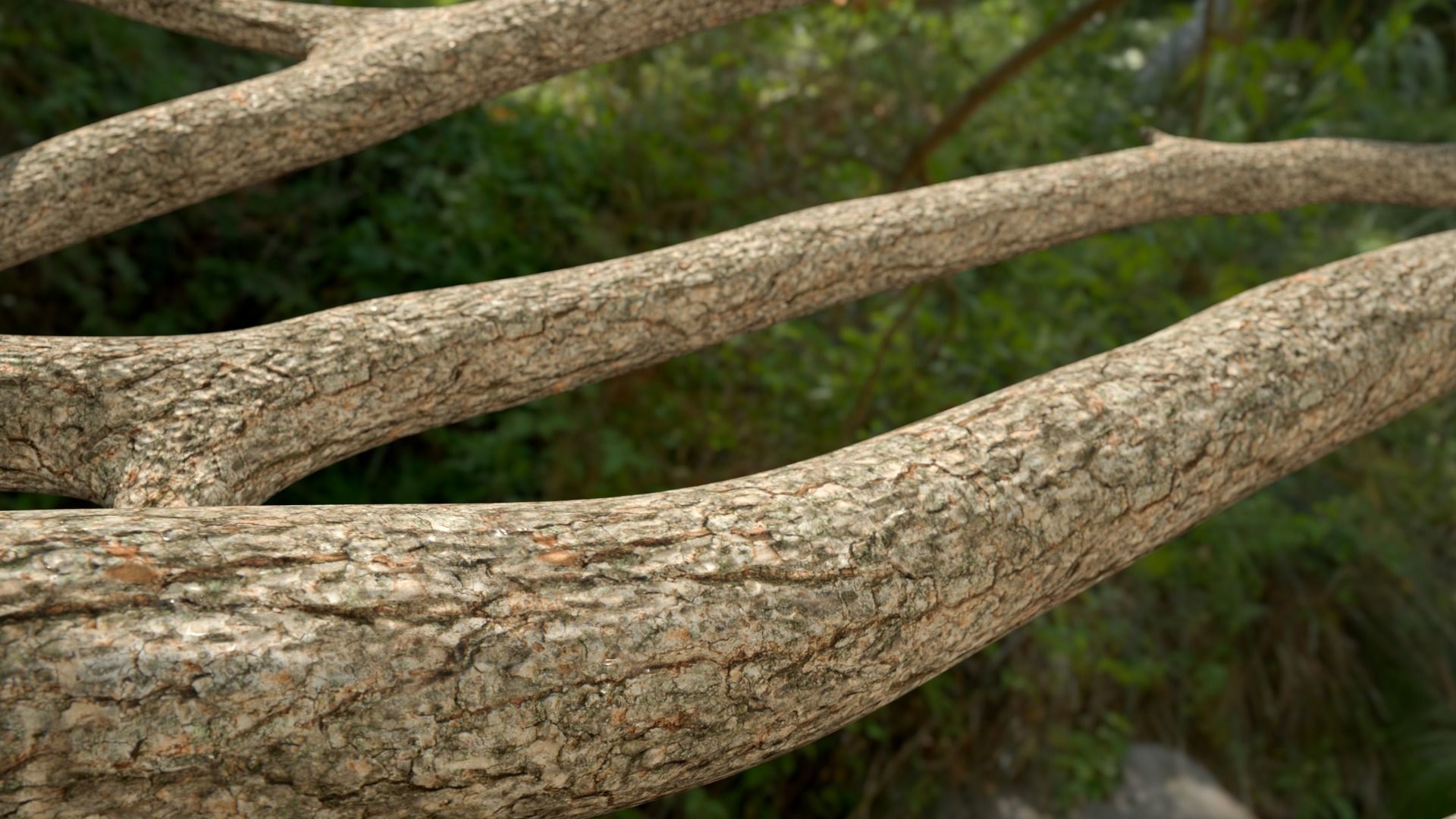 Jungle Logs Collection Low-poly 3D model_0