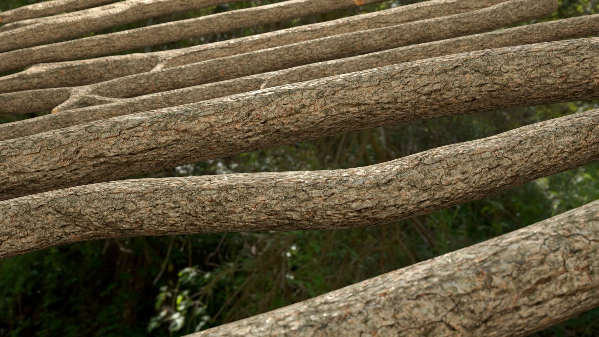 Jungle Logs Collection Low-poly 3D model_2