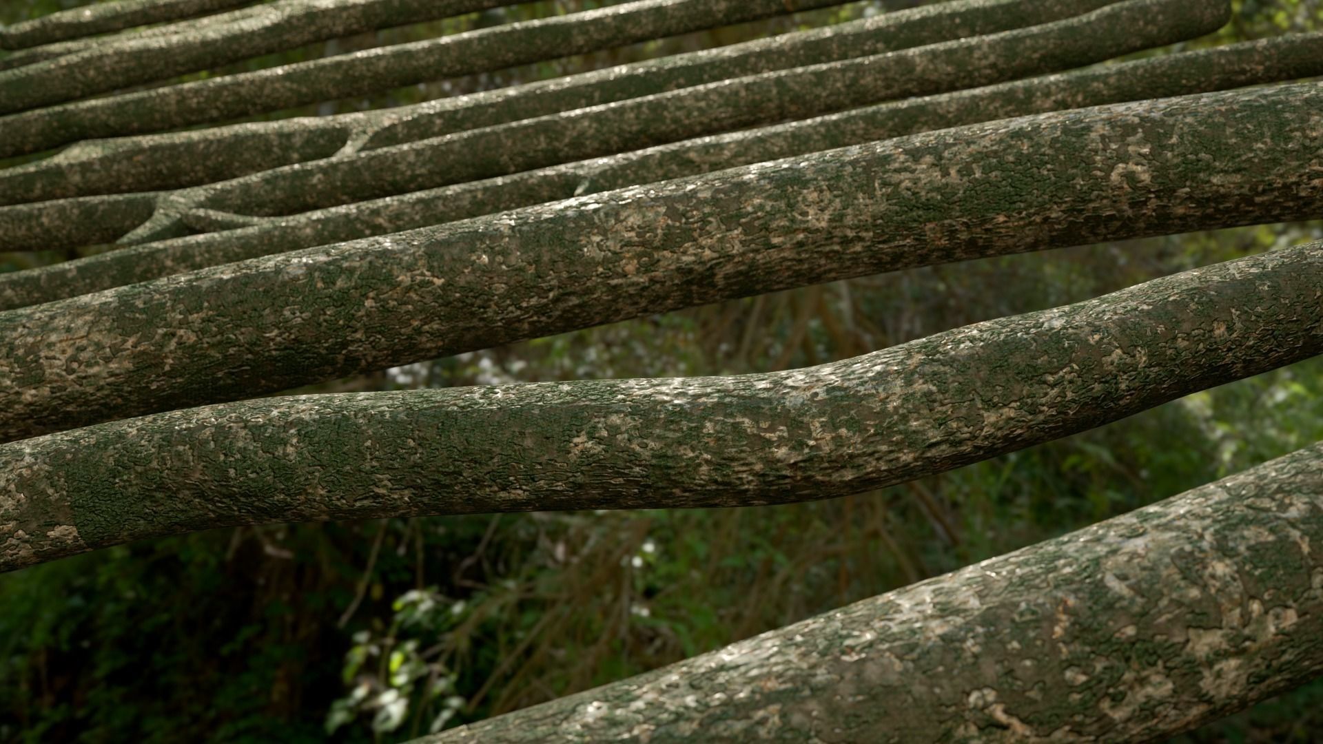 Jungle Logs Collection Low-poly 3D model_3