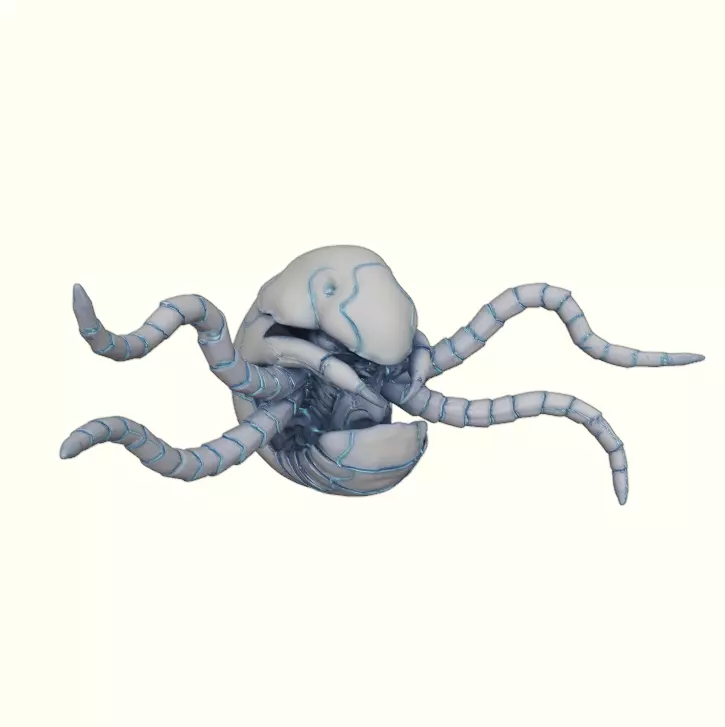 Glacier Shell Crawler Free 3D print model