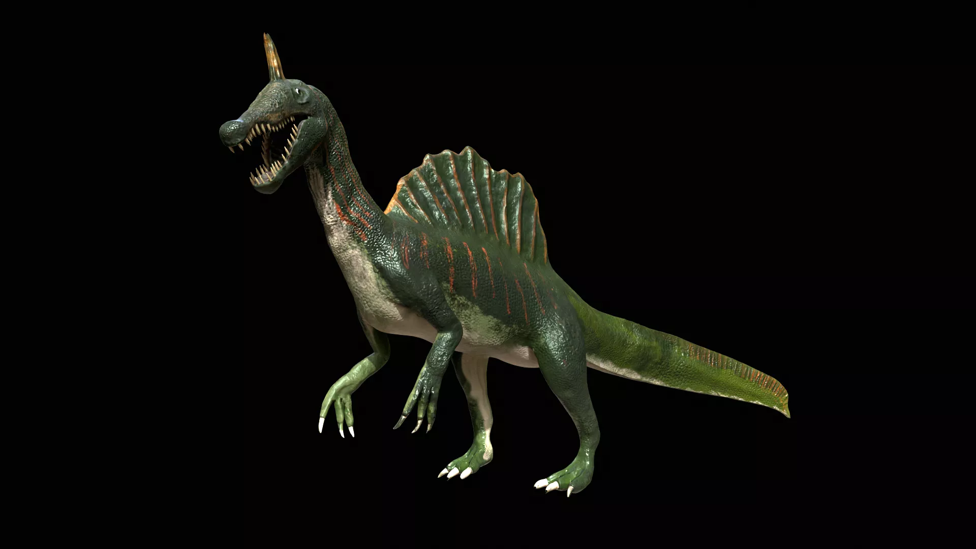 Spinosaurus mirabilis 3D model