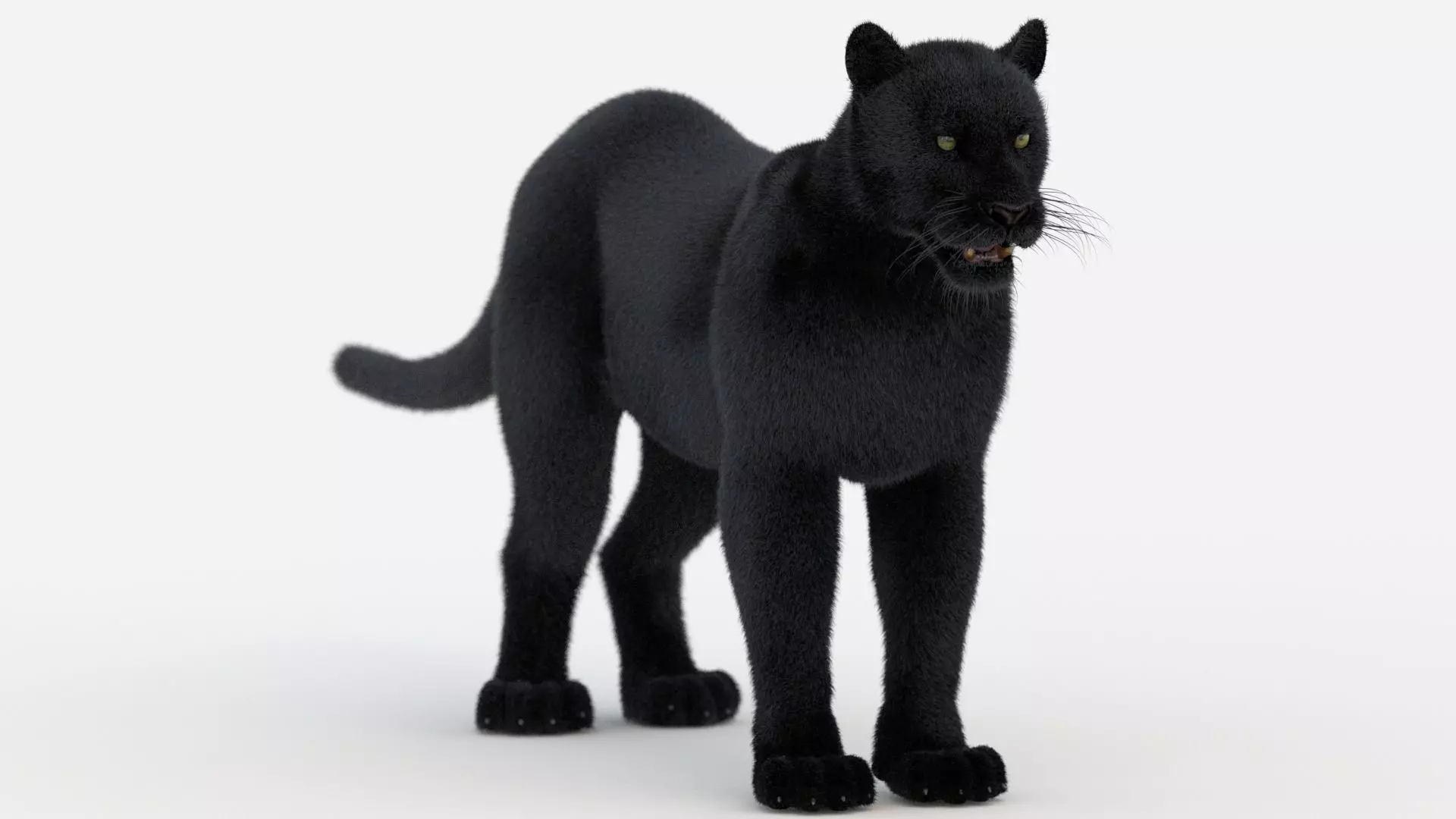 Black Panther Fur 3D model