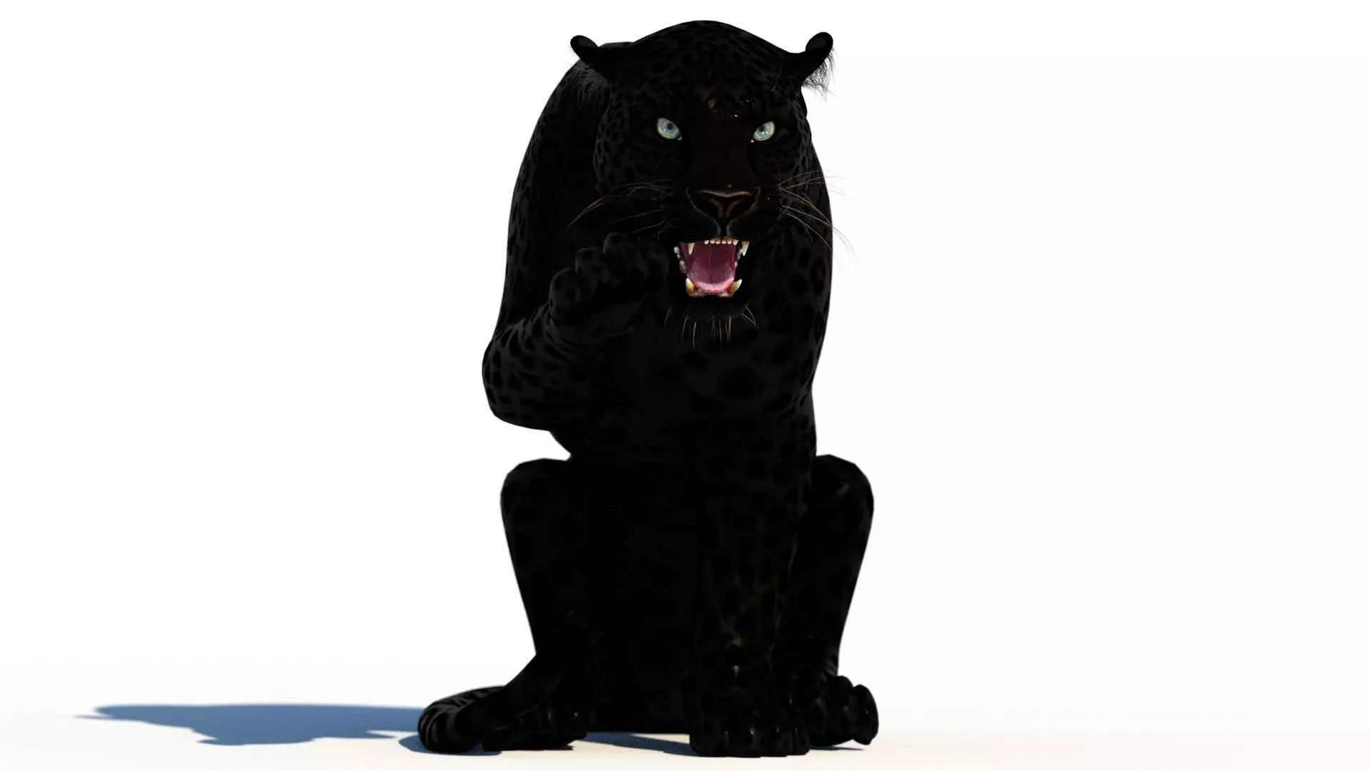 Rigged Black Panther Low-poly 3D model