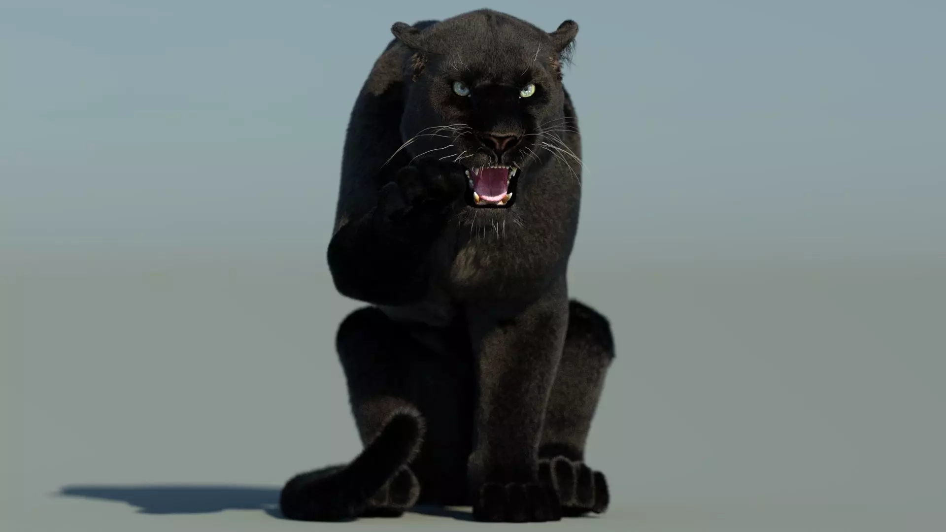 Rigged Black Panther with Fur 3D model