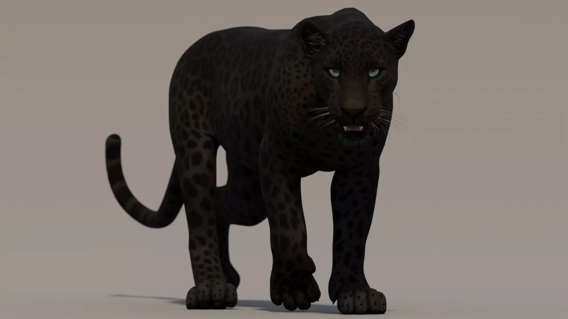 Animated Black Panther Low-poly 3D model