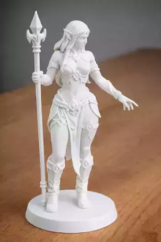 Elven Spell warden - Female Mage