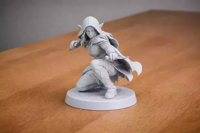 Elven Shadow blade - Elven Rogue