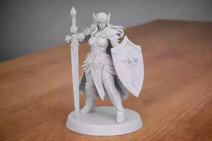 Female Elven Paladin