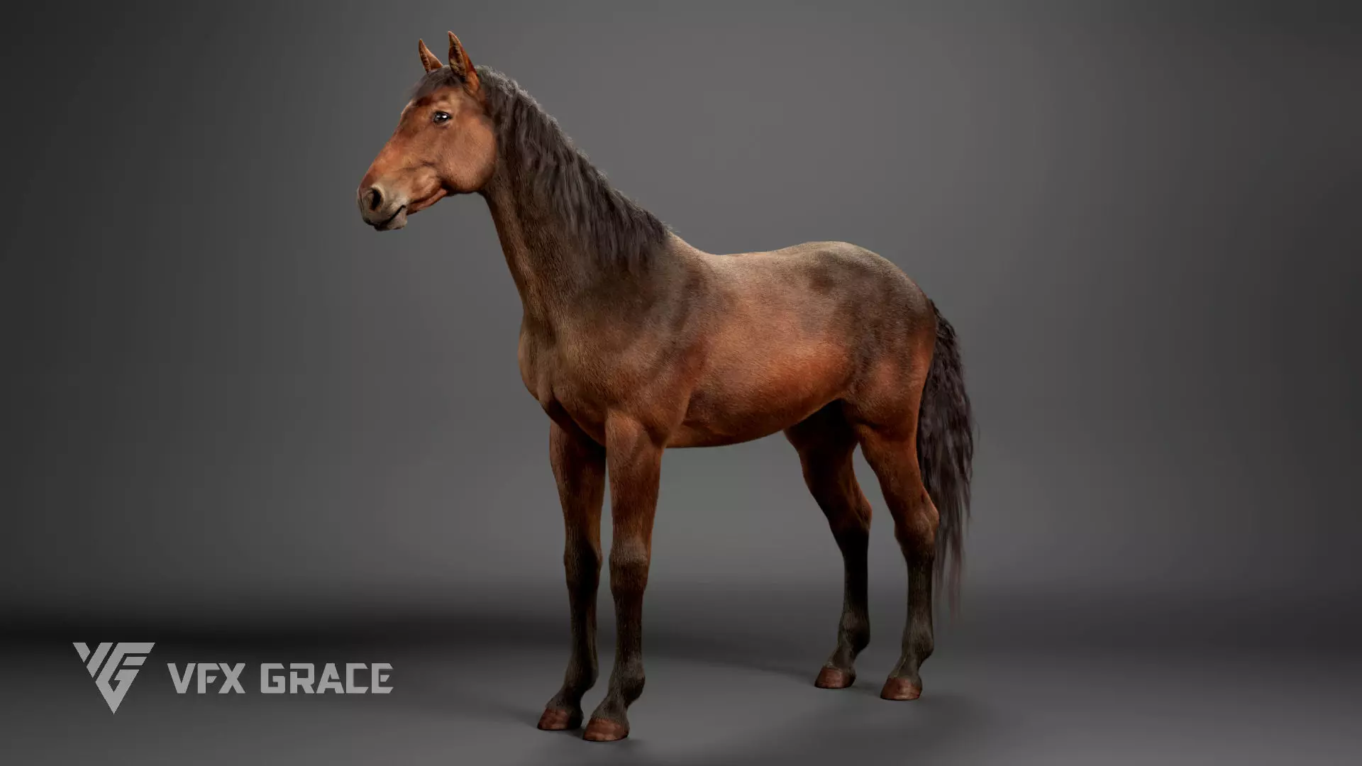 Brown Horse Rigged - Maya VFX Grace 3D model