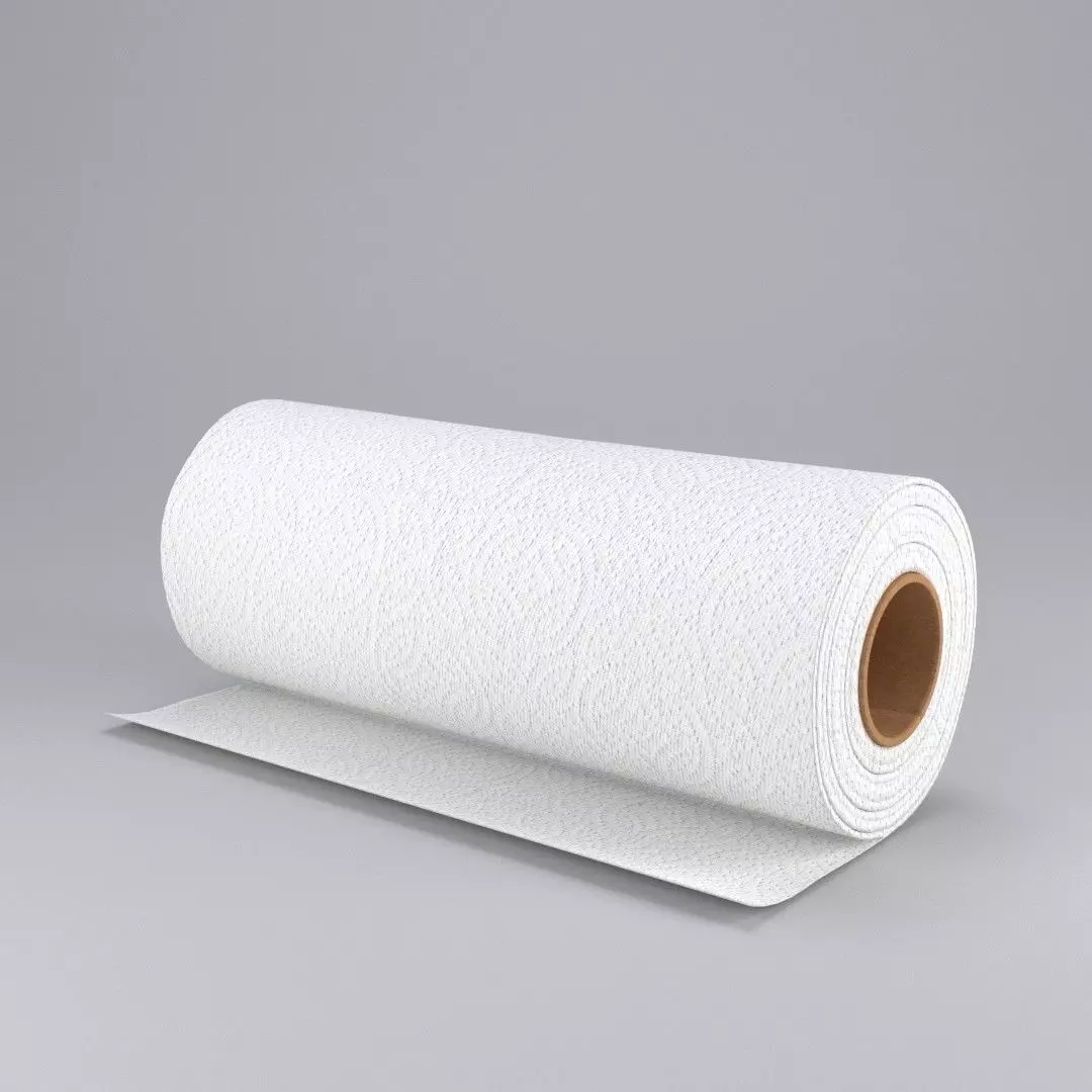 Paper Towel 3D model