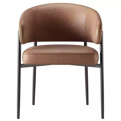 Iris Dining Chair 3D model 3