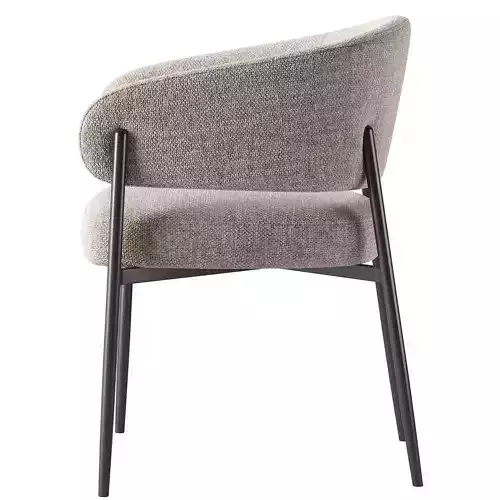 Iris Dining Chair 3D model 4
