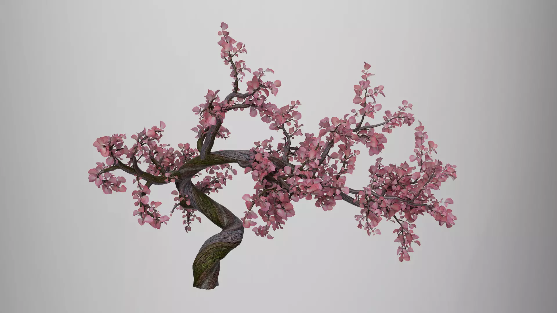 Ancient Style Plum Tree 3D Model 3D model