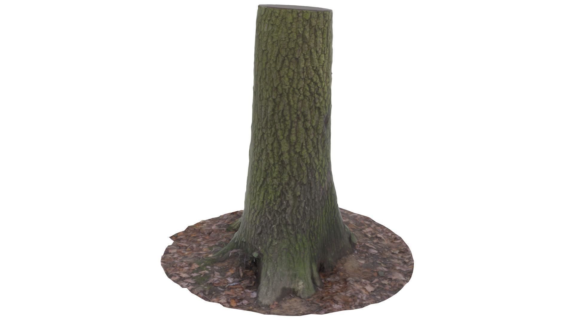 Tree 01 - High and Low Poly Versions Low-poly 3D model_5