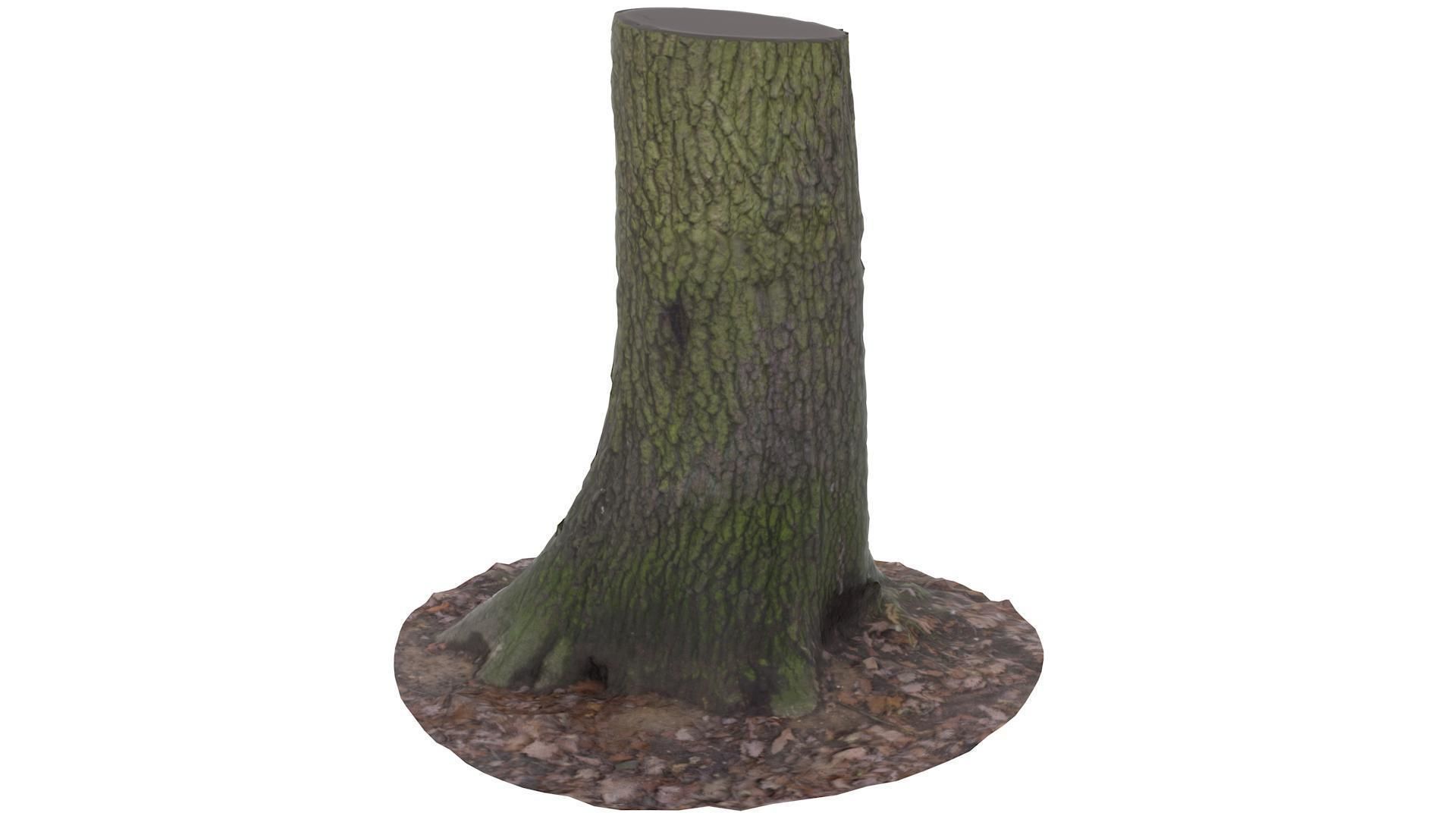 Tree 01 - High and Low Poly Versions Low-poly 3D model_4