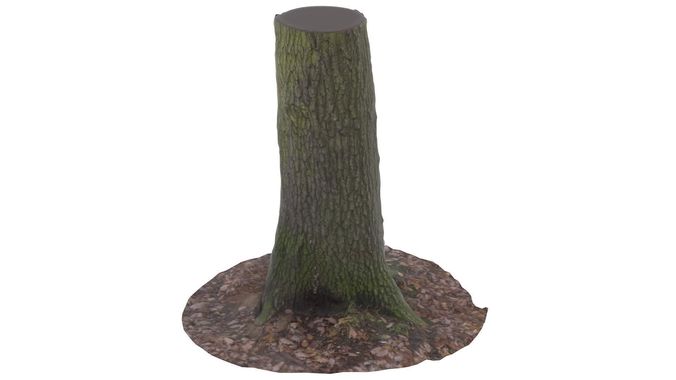 Tree 01 - High and Low Poly Versions Low-poly 3D model