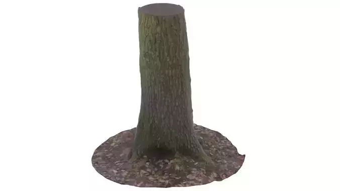 Tree 01 - High and Low Poly Versions Low-poly 3D model