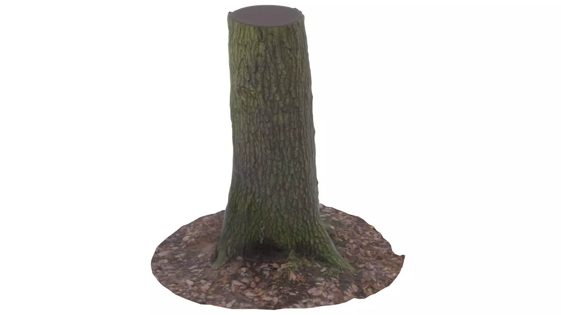 Tree 01 - High and Low Poly Versions Low-poly 3D model_0