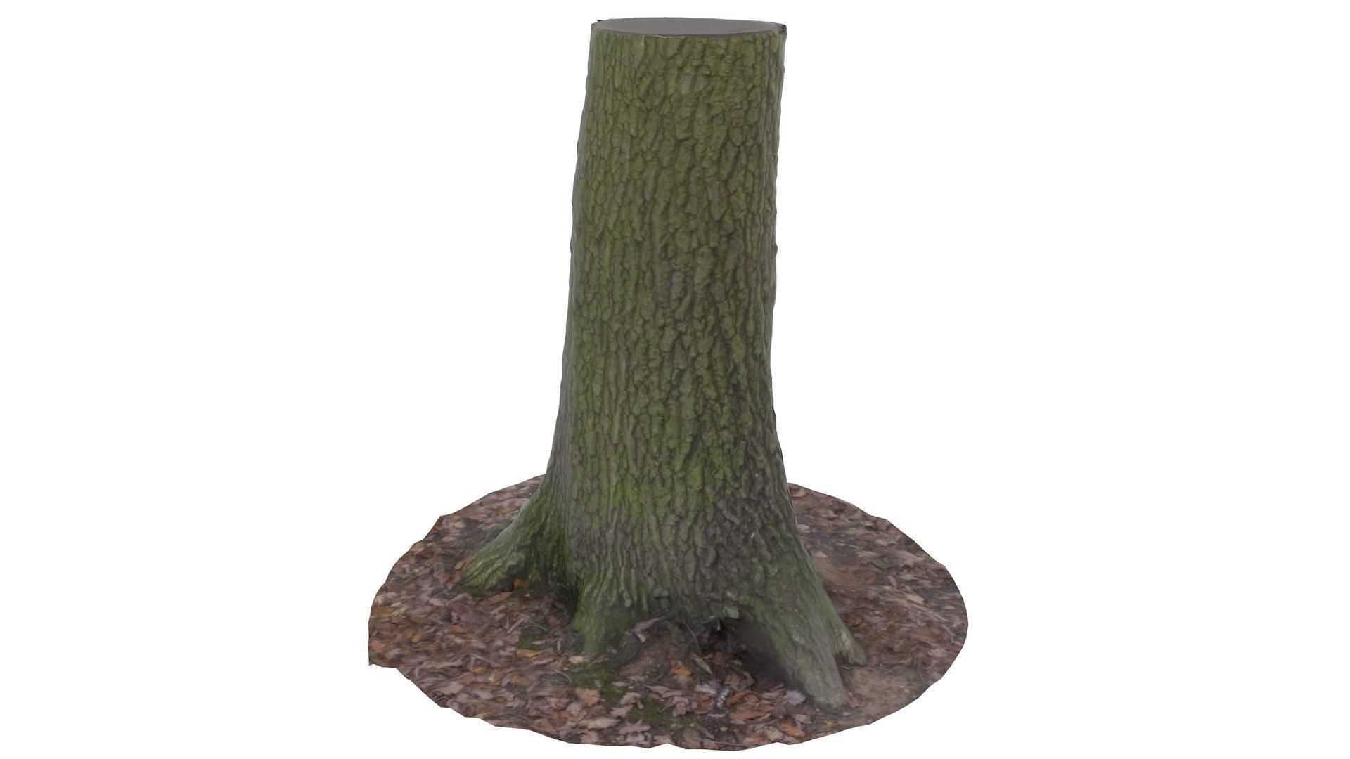 Tree 01 - High and Low Poly Versions Low-poly 3D model_3