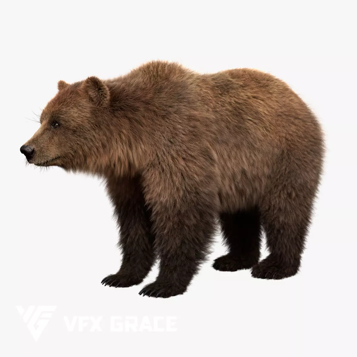 Brown bear Female Rigged - Maya VFX Grace 3D model