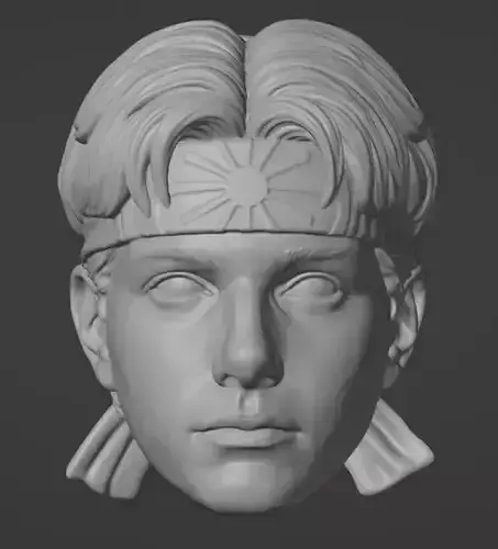 Daniel LaRusso  Head - Karate Kid - Ralph Macchio
