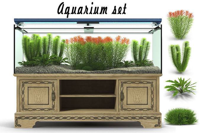Aquarium set fish tank stand 3D model