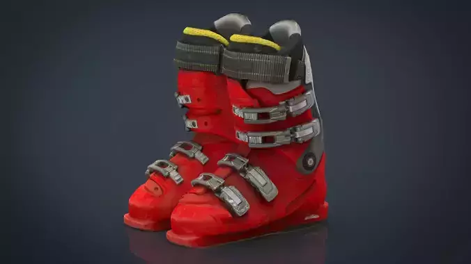 Ski boots