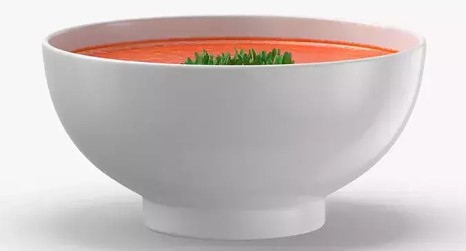 Tomato Soup 3D model 6