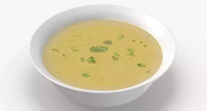 Chicken Soup 3D model 5