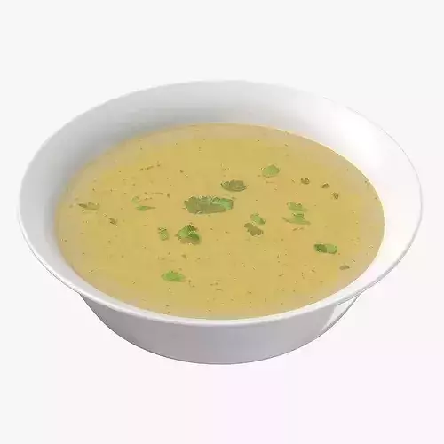 Chicken Soup 3D model